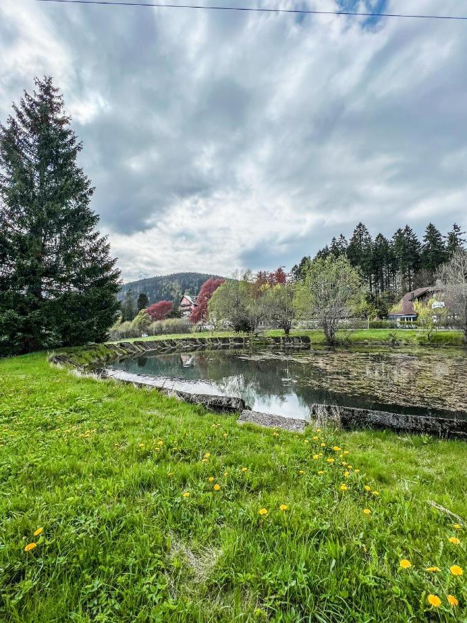 Apartamento Prokop Železná Ruda Exterior foto